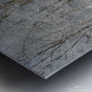 hoar frost  Metal print