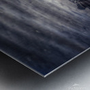 Canada Goose  Metal print