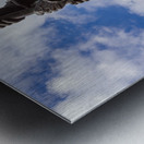 Detail of Iwo Jima Memorial in Washington Metal print