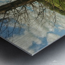 Tree in Field Metal print