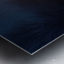 Street in Fog Metal print