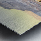 Elk Heard Grazing Rocky Mountain Foothills Metal print