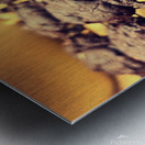 Chocolate Temptations Metal print