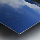 Lizard head pass Metal print