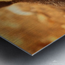 Uno the quick  Metal print