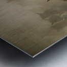 in dust Metal print