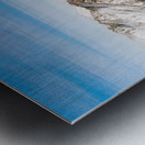 View From Mt. Elbert Metal print