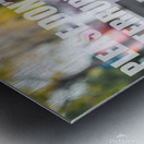 FB IMG 1671891351614 Metal print