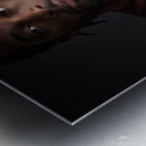 Adobe Express 20221224 0809040 1 Metal print