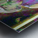 Kenny Chesney Metal print