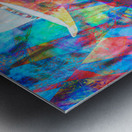 Charlie Daniels  Metal print