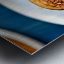 3350 Metal print
