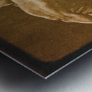 Foreman vs. Ali Boxing Viewfinder Slide Art Metal print