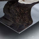 Dancing Eagle Metal print