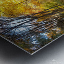 02 Cotton Hollow Autumn Glow Metal print