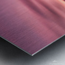 Santa Monica Ferris Wheel Metal print