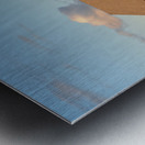 20 Spring Day on the Farm  Metal print