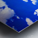 Drama King Elk Metal print