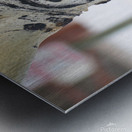 Eye of the tree Metal print