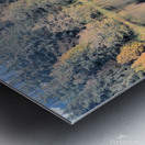 Kress Lake Metal print