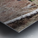 Lake Reflection Metal print