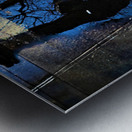 Night Reflection Metal print