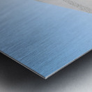 Chengdu Natural History Museum 2 Metal print