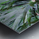 Pineapples Metal print