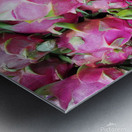 Dragon Fruits Metal print