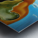 apslOBUh7nRypOpF5khD  4  96mog Metal print