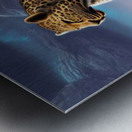 Leopard on the rocks.  Metal print