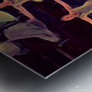 Brown Ballet amber Metal print