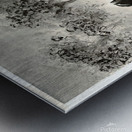 Wild Horses Metal print