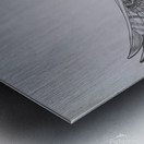 eagle Metal print