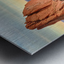 Gods Colorado Garden Metal print