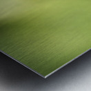 Butterfly Eye Metal print