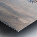 IMG_0295 Edit Metal print