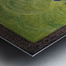 Devotional Spirit Metal print