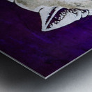 Vintage Washington Husky Art Metal print