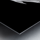 Horse Skull Showing Embedded Teeth Metal print