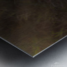 Leopard In Sun Beams - Portrait Metal print