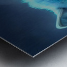 D0FB07AB 24F5 422C A34B 699529EC551A Metal print