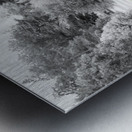 Winter in Summer Metal print