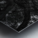 DJ 08142 Metal print