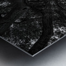 DJ 08580 Metal print