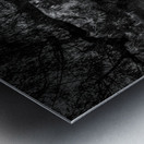 DJ 08131 Metal print