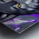 1E7E2572 9F89 477A A0C5 D2F4D9D26902 Metal print