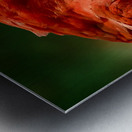 F86E1361 5A23 4A0F 9C78 4DABEE3AD4EA Metal print