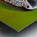 7F95D3C0 81A8 4645 9E33 E8E0E041A368 Metal print