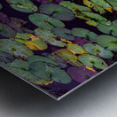 On The Pond Metal print